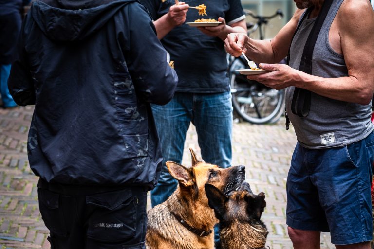 op straat eten met honden